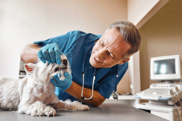 Best Walk-In Emergency Dental Services in Northfield, KY
